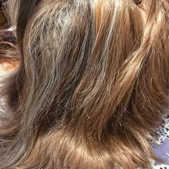 Human Hair wig - Picture 2 of 4